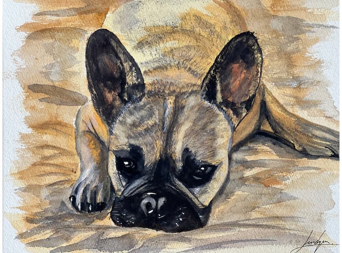 Stella